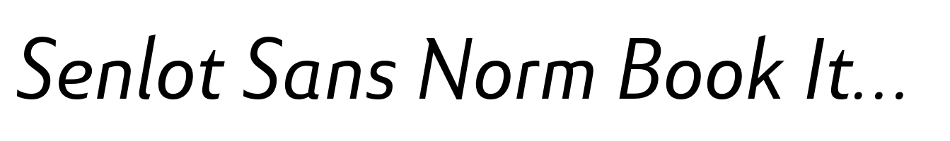 Senlot Sans Norm Book Italic